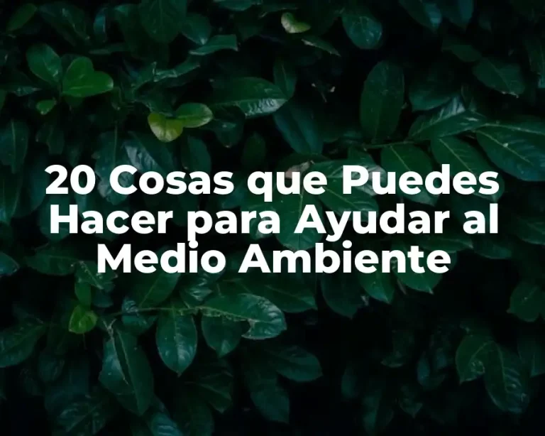 20 Cosas que Puedes Hacer para Ayudar al Medio Ambiente