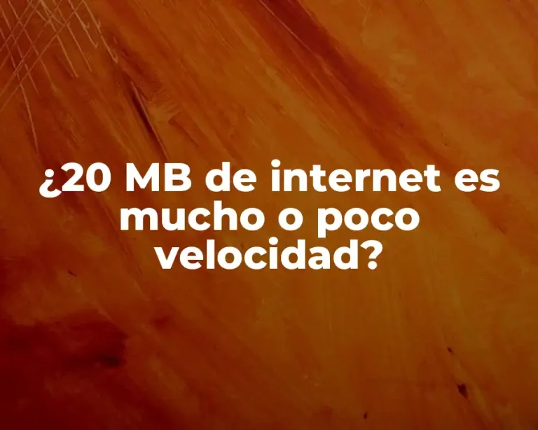 ¿20 MB de internet es mucho o poco velocidad?