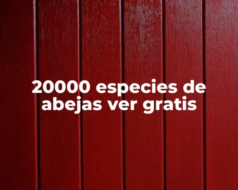 20000 especies de abejas ver gratis