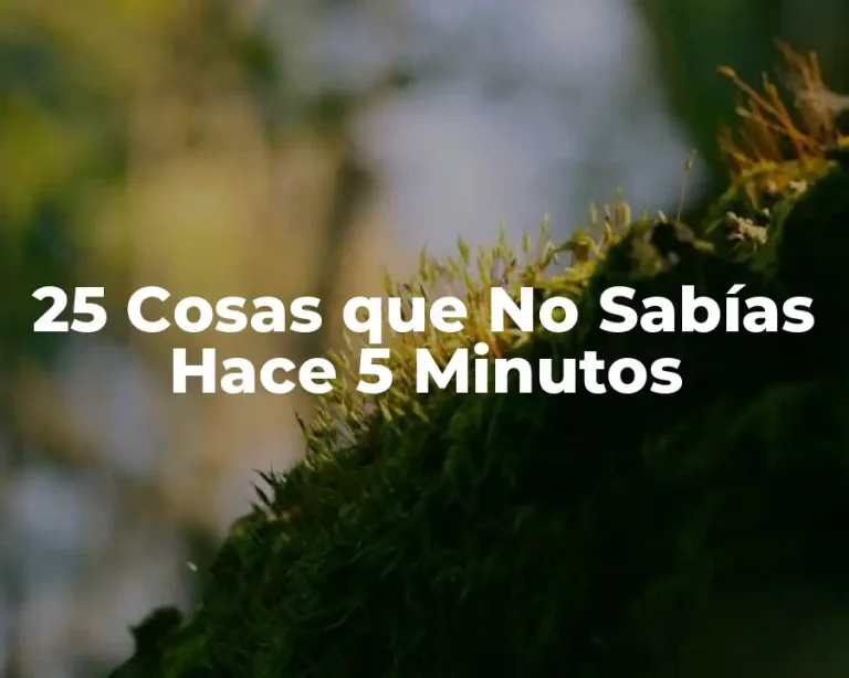 25 Cosas que No Sabías Hace 5 Minutos