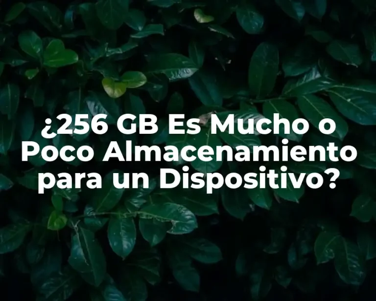 ¿256 GB Es Mucho o Poco Almacenamiento para un Dispositivo?
