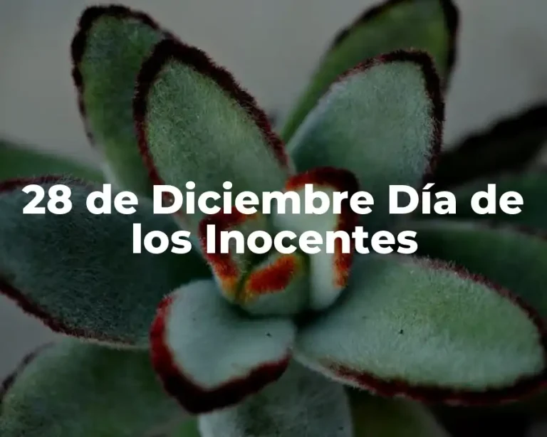 28 de Diciembre Día de los Inocentes