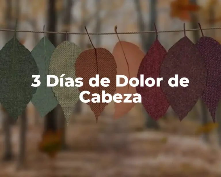 3 Días de Dolor de Cabeza