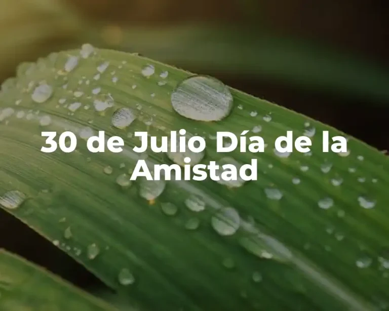 30 de Julio Día de la Amistad