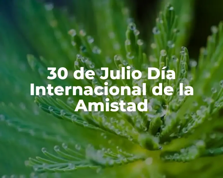 30 de Julio Día Internacional de la Amistad