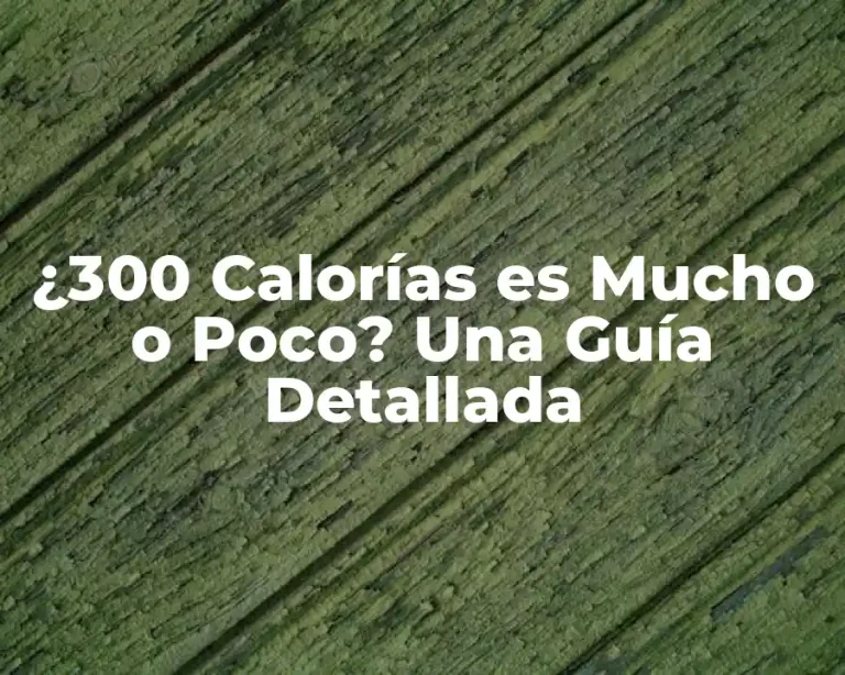 ¿300 Calorías es Mucho o Poco? Una Guía Detallada