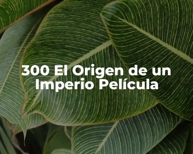 300 El Origen de un Imperio Película