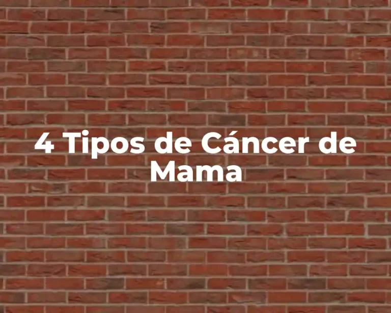 4 Tipos de Cáncer de Mama
