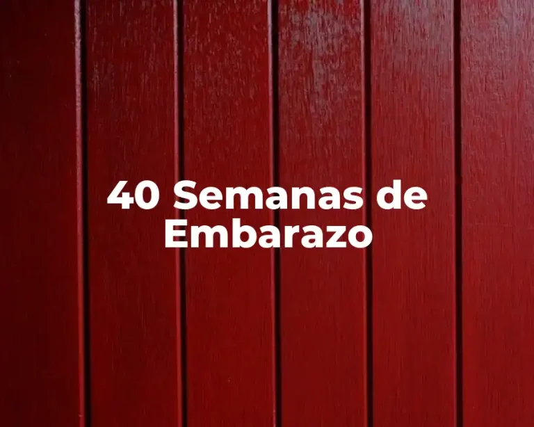 40 Semanas de Embarazo