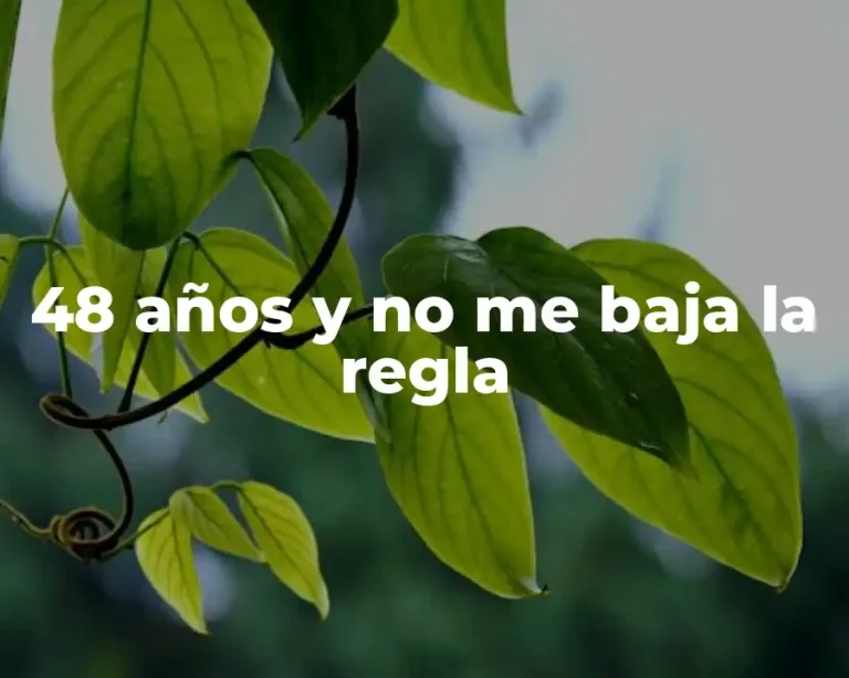 48 años y no me baja la regla