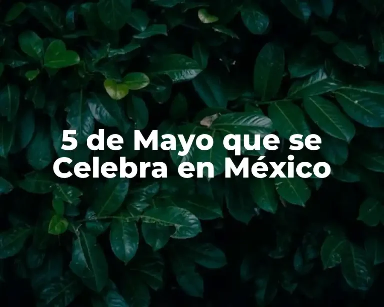 5 de Mayo que se Celebra en México