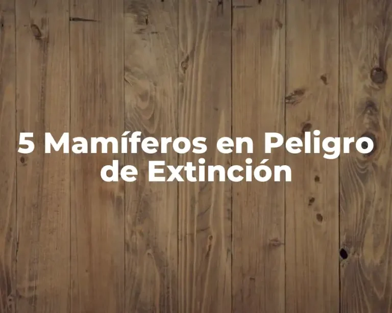 5 Mamíferos en Peligro de Extinción