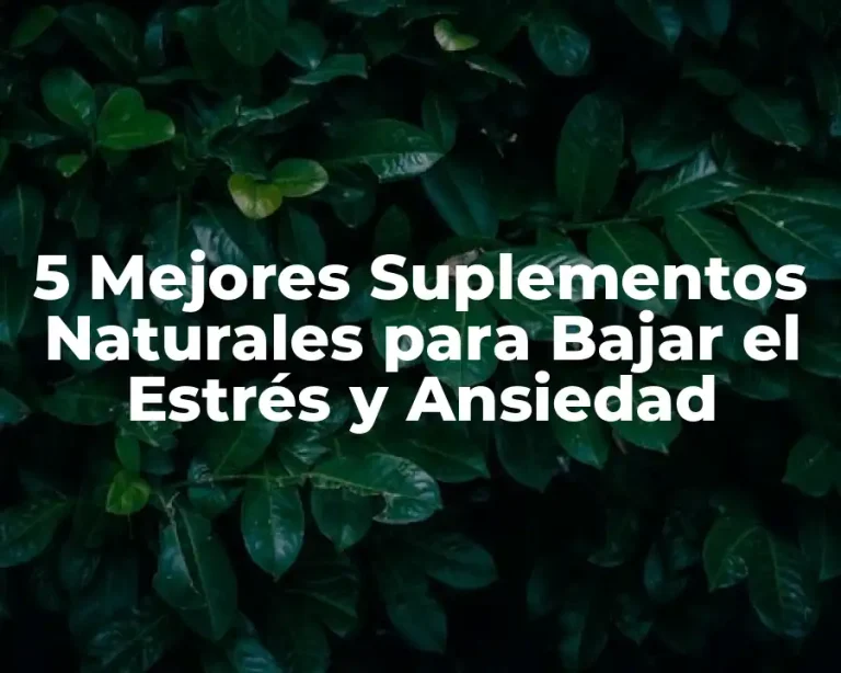 5 Mejores Suplementos Naturales para Bajar el Estrés y Ansiedad