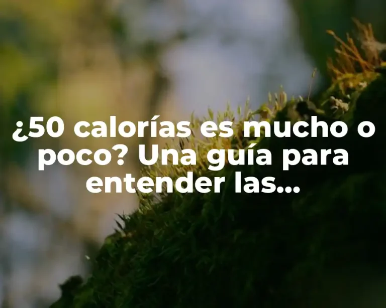 ¿50 calorías es mucho o poco? Una guía para entender las necesidades calóricas