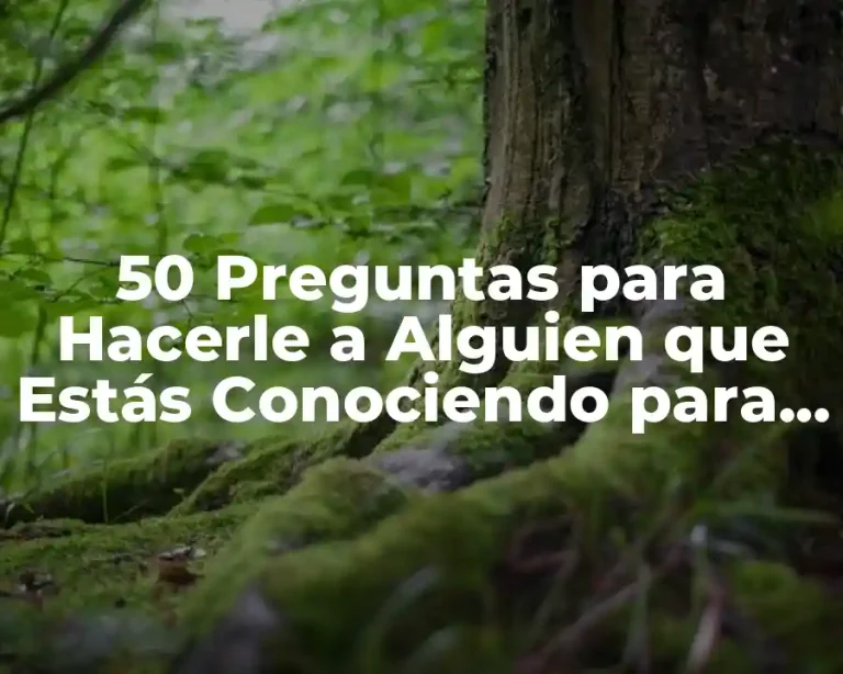 50 Preguntas para Hacerle a Alguien que Estás Conociendo para Conocerte Mejor