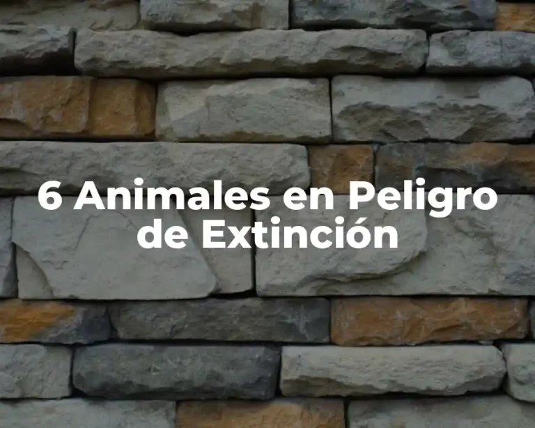 6 Animales en Peligro de Extinción
