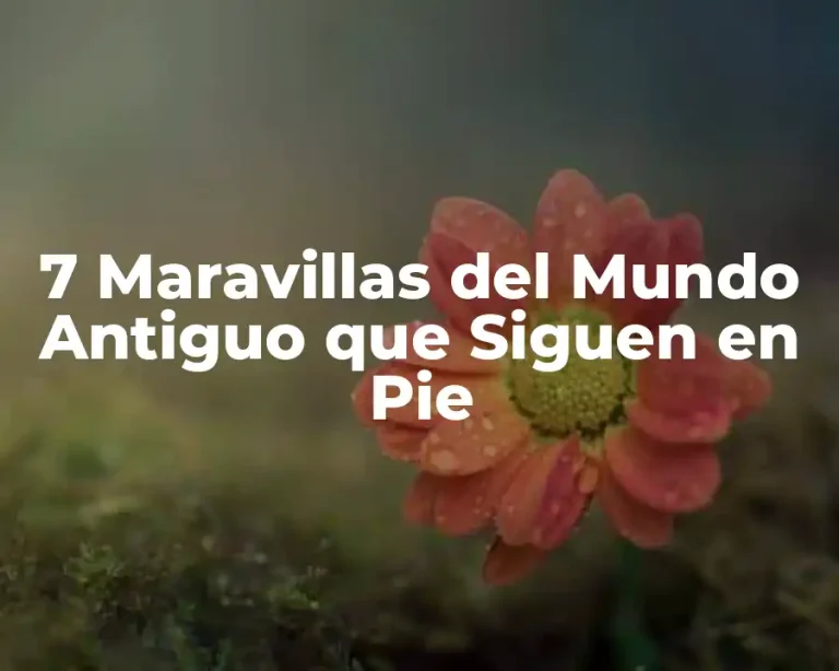 7 Maravillas del Mundo Antiguo que Siguen en Pie