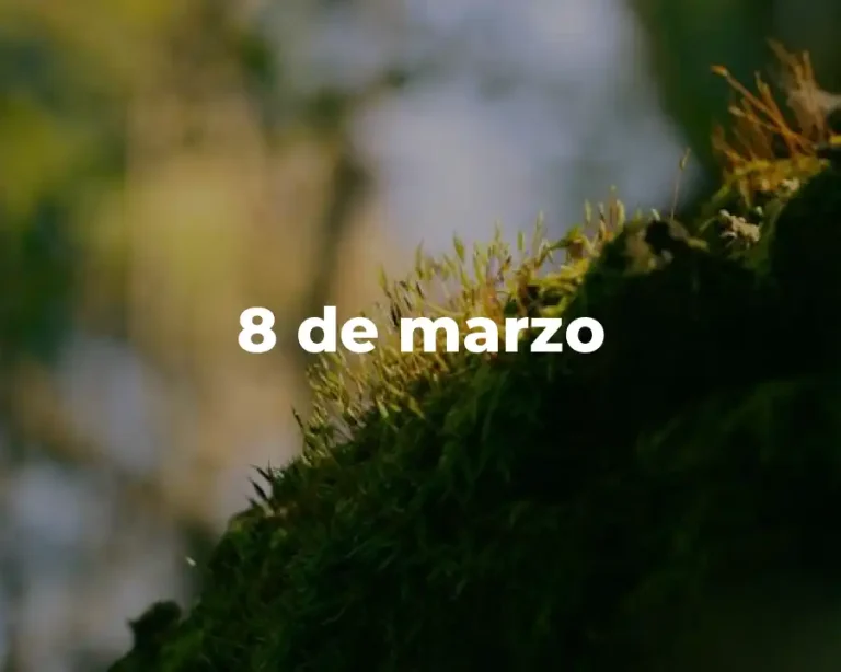 8 de marzo