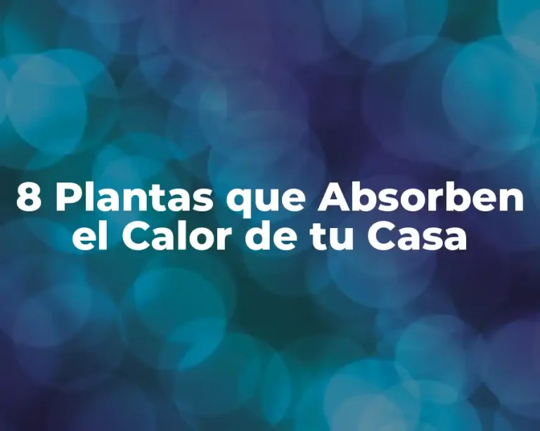 8 Plantas que Absorben el Calor de tu Casa