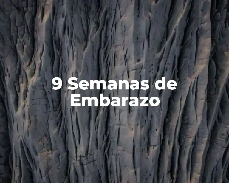 9 Semanas de Embarazo