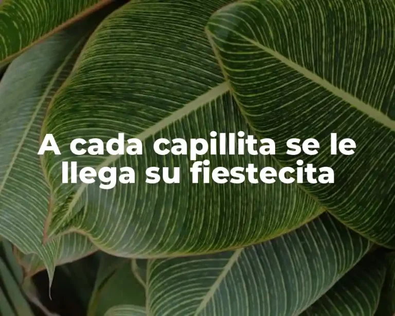 A cada capillita se le llega su fiestecita