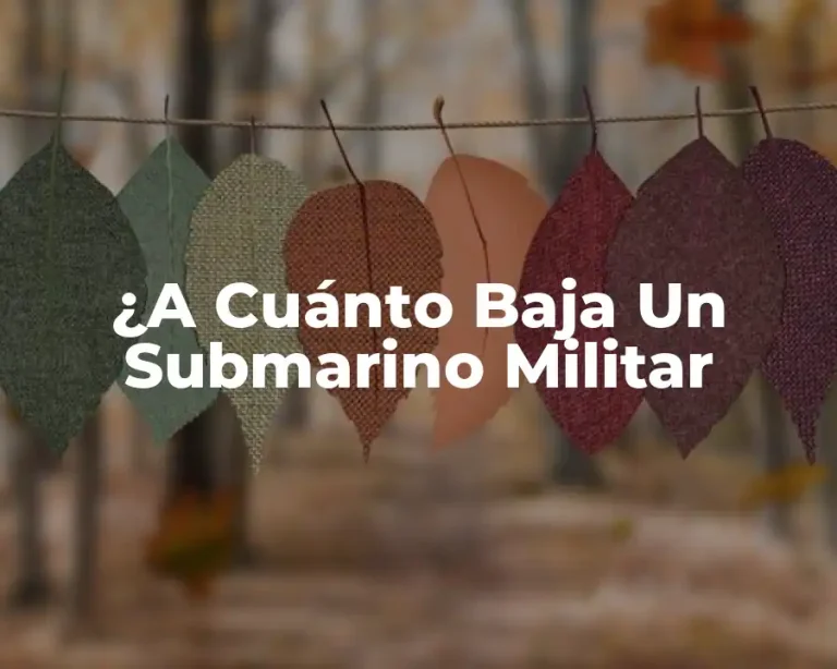 ¿A Cuánto Baja Un Submarino Militar