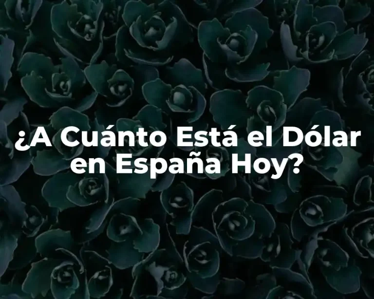 ¿A Cuánto Está el Dólar en España Hoy?