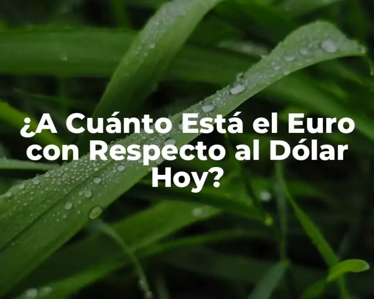 ¿A Cuánto Está el Euro con Respecto al Dólar Hoy?