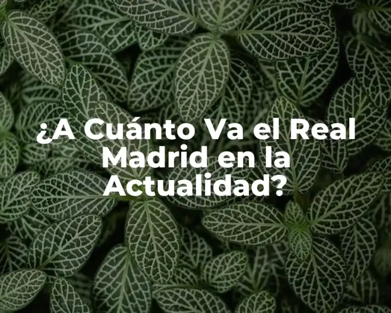 ¿A Cuánto Va el Real Madrid en la Actualidad?