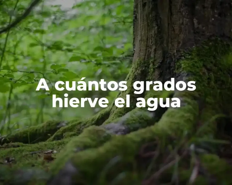 A cuántos grados hierve el agua