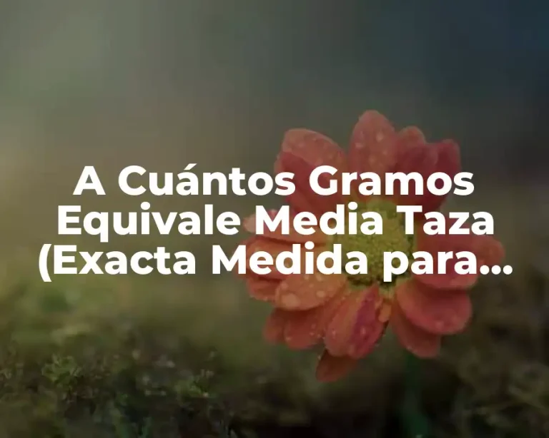 A Cuántos Gramos Equivale Media Taza (Exacta Medida para Cocinar)
