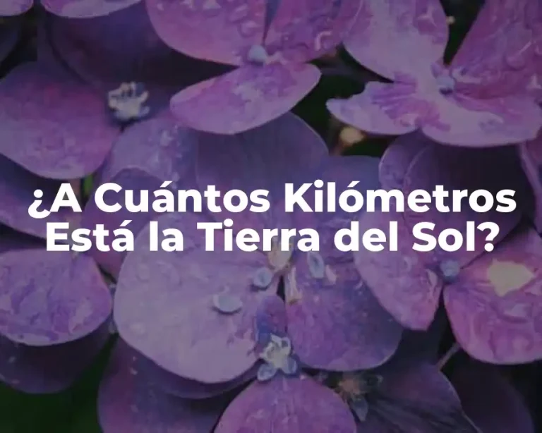 ¿A Cuántos Kilómetros Está la Tierra del Sol?