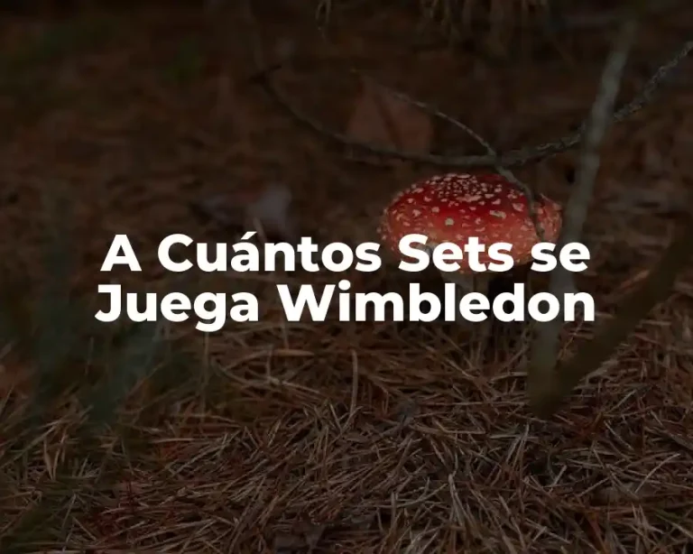 A Cuántos Sets se Juega Wimbledon