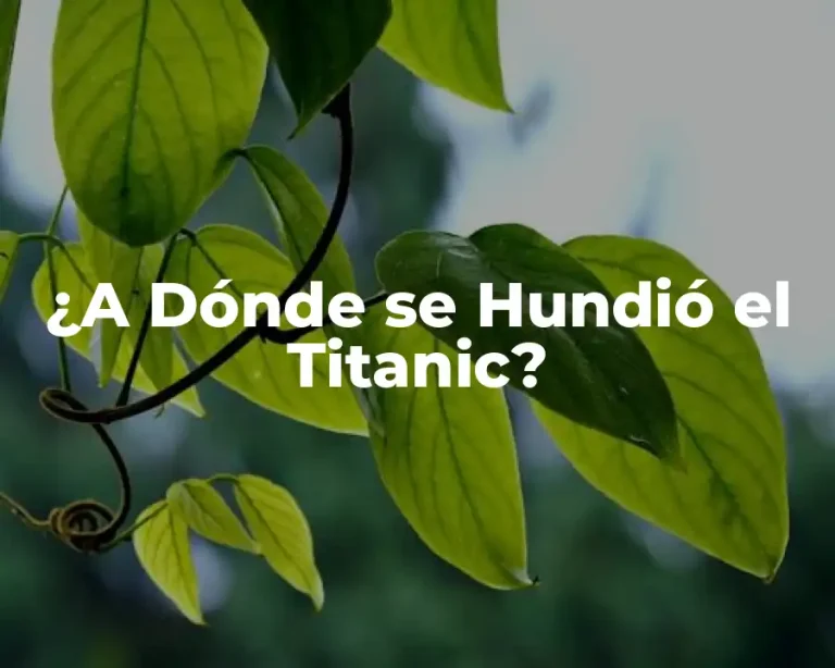 ¿A Dónde se Hundió el Titanic?