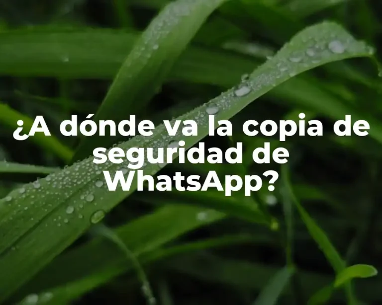 ¿A dónde va la copia de seguridad de WhatsApp?