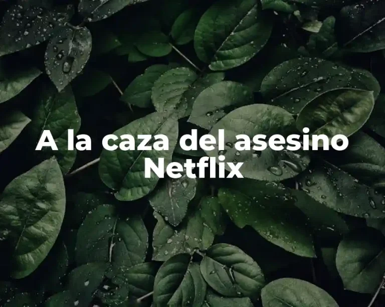 A la caza del asesino Netflix