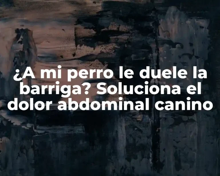 ¿A mi perro le duele la barriga? Soluciona el dolor abdominal canino