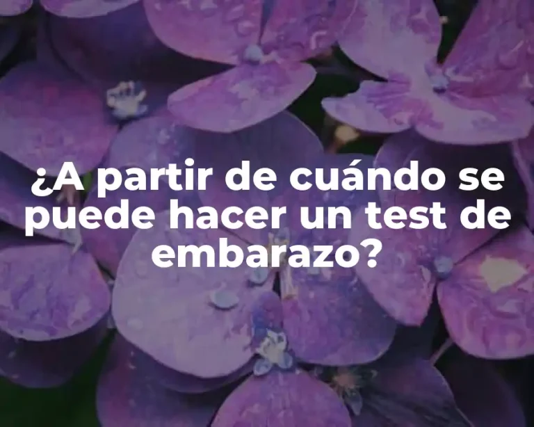 ¿A partir de cuándo se puede hacer un test de embarazo?