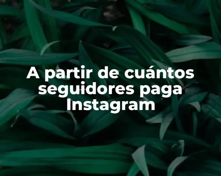 A partir de cuántos seguidores paga Instagram