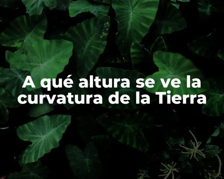 A qué altura se ve la curvatura de la Tierra