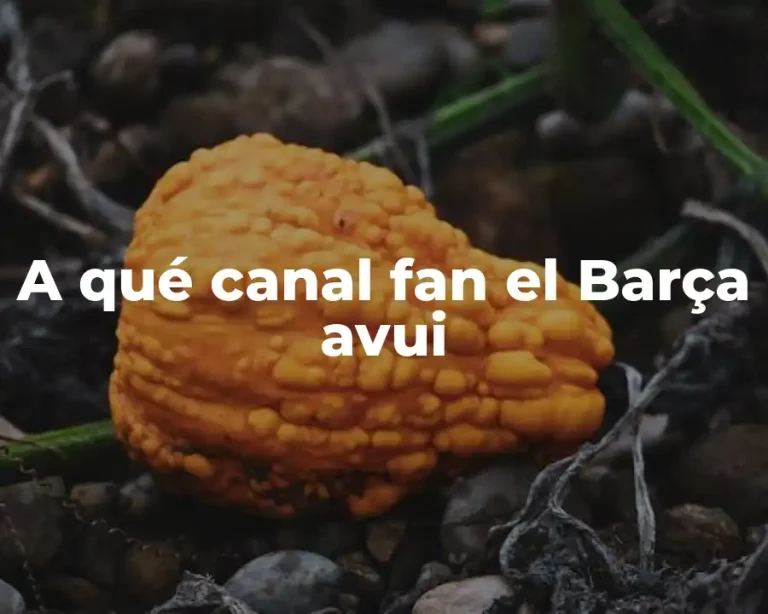 A qué canal fan el Barça avui