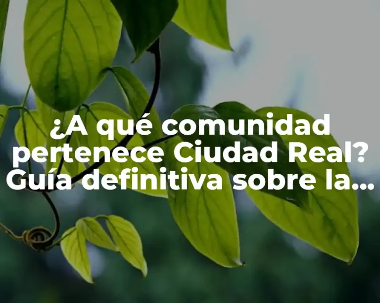 ¿A qué comunidad pertenece Ciudad Real? Guía definitiva sobre la provincia de Castilla