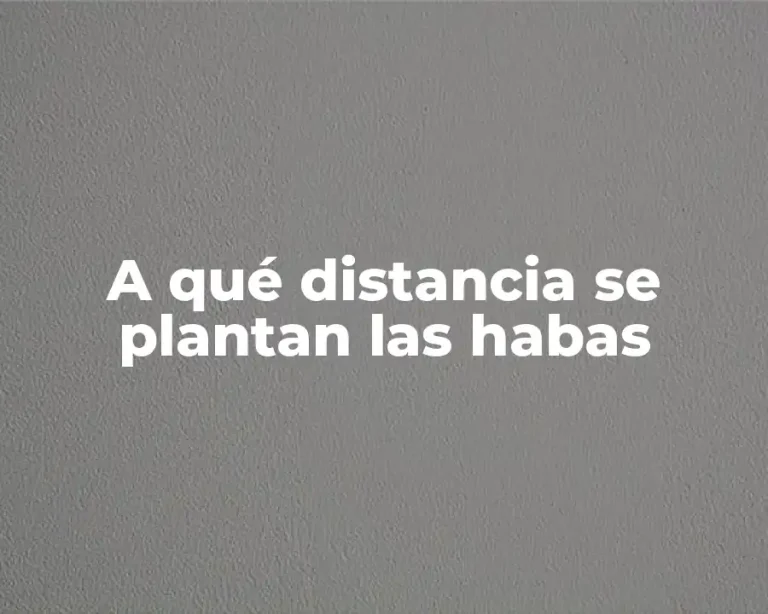A qué distancia se plantan las habas