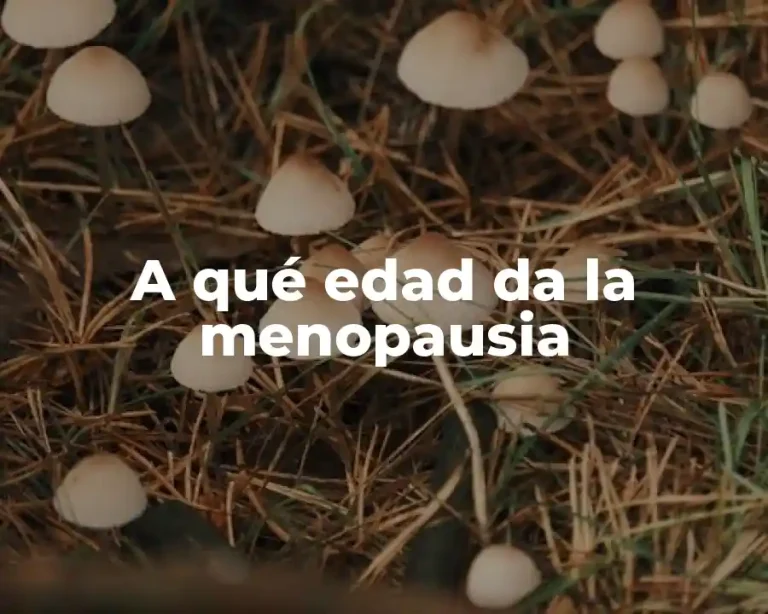 A qué edad da la menopausia