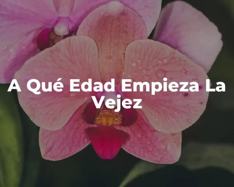 A Qué Edad Empieza La Vejez