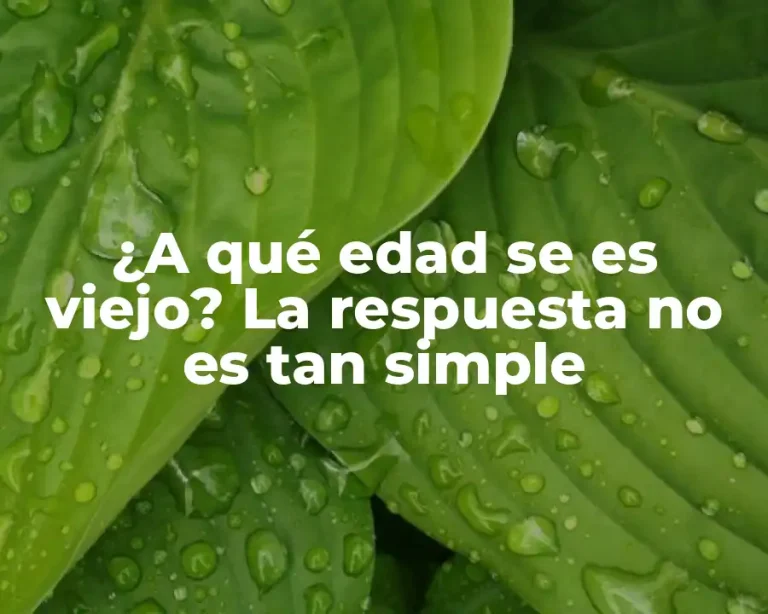 ¿A qué edad se es viejo? La respuesta no es tan simple