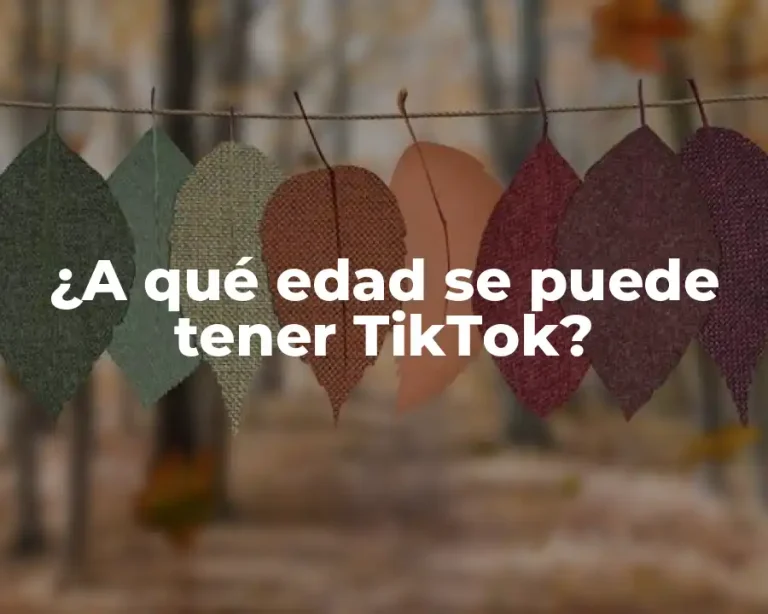 ¿A qué edad se puede tener TikTok?