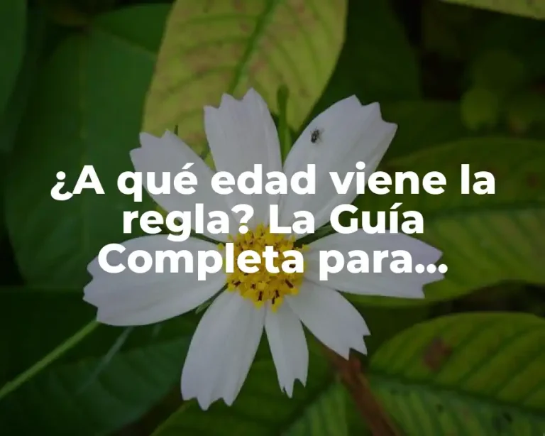 ¿A qué edad viene la regla? La Guía Completa para Entender el Ciclo Menstrual