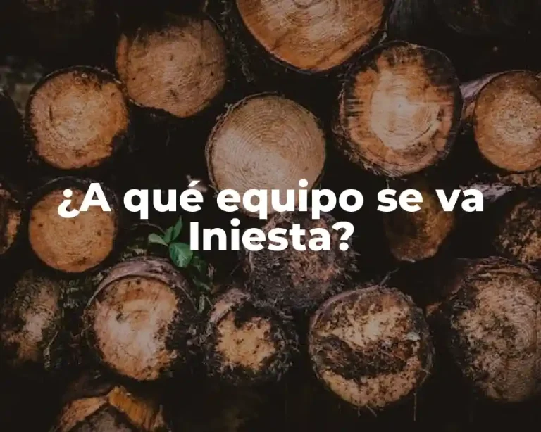 ¿A qué equipo se va Iniesta?