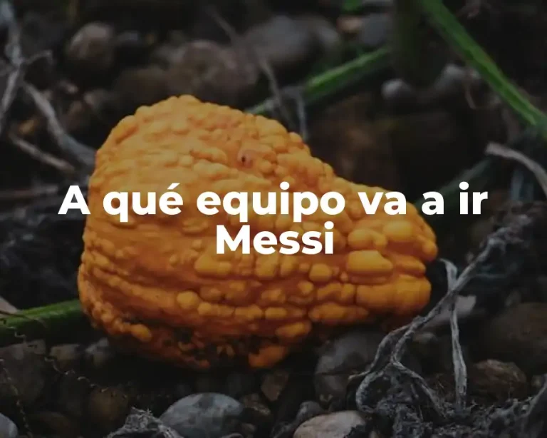 A qué equipo va a ir Messi